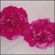 Imported Silk Flower