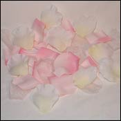 Imported Silk Flowers